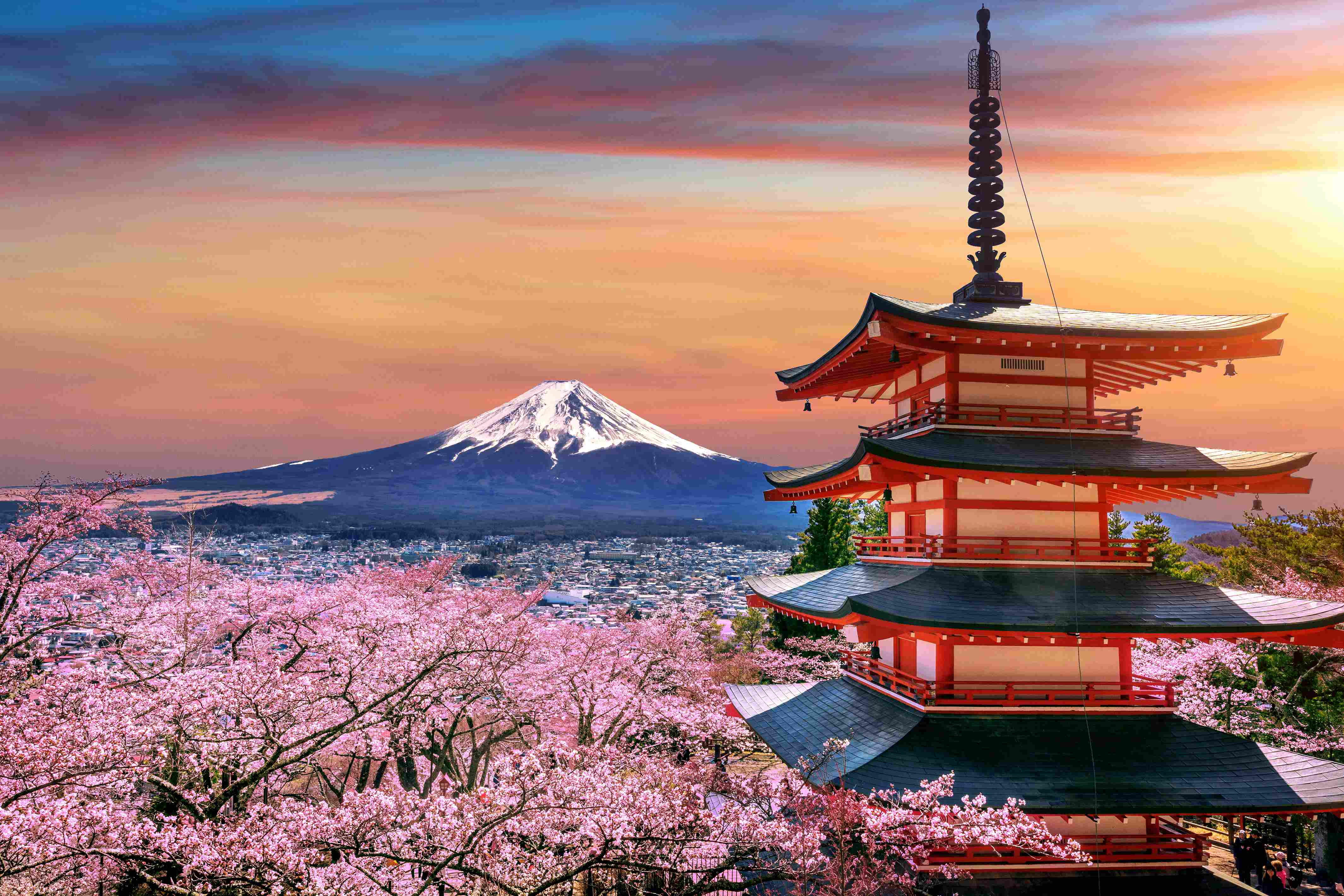 Study in Japan